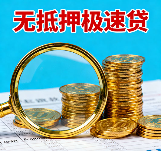 芜湖应急短期借款，额度高